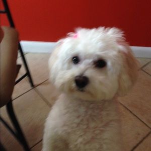 Meet your Posher, Lorena